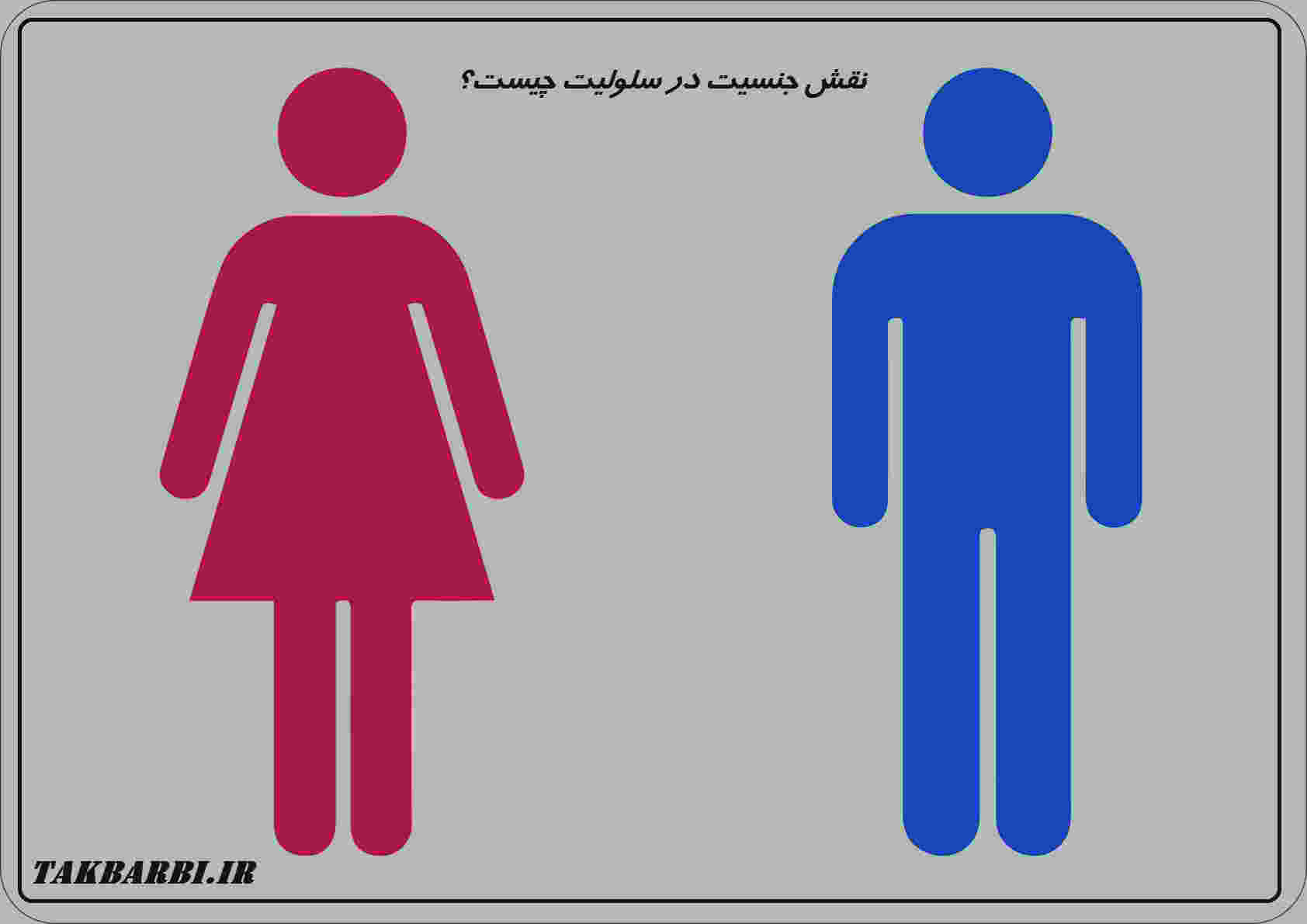 نقش جنسیت در سلولیت