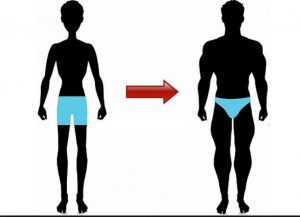 چگونه چاق شویم ؟ ، مقایسه ی فرد با کمبود وزن با فرد معمولی